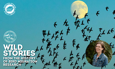 Wild Stories from the History of Bird Migration Research