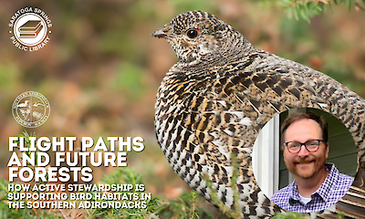 Flight Paths and Future Forests - How Active Stewardship is Supporting Bird Habitats in the Southern Adirondacks