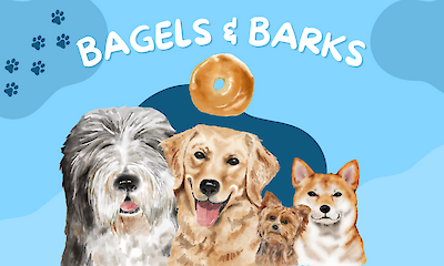 Bagels and Barks at SSPL