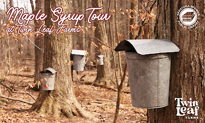 Maple Syrup Tour at Twin Leaf Farms