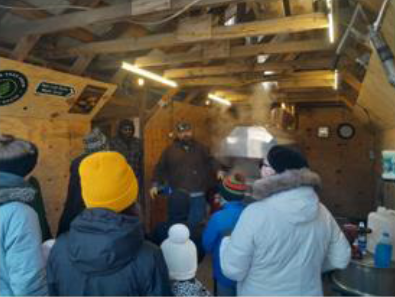 The maple sap is being booked down in the sugar shack to become maple syrup.