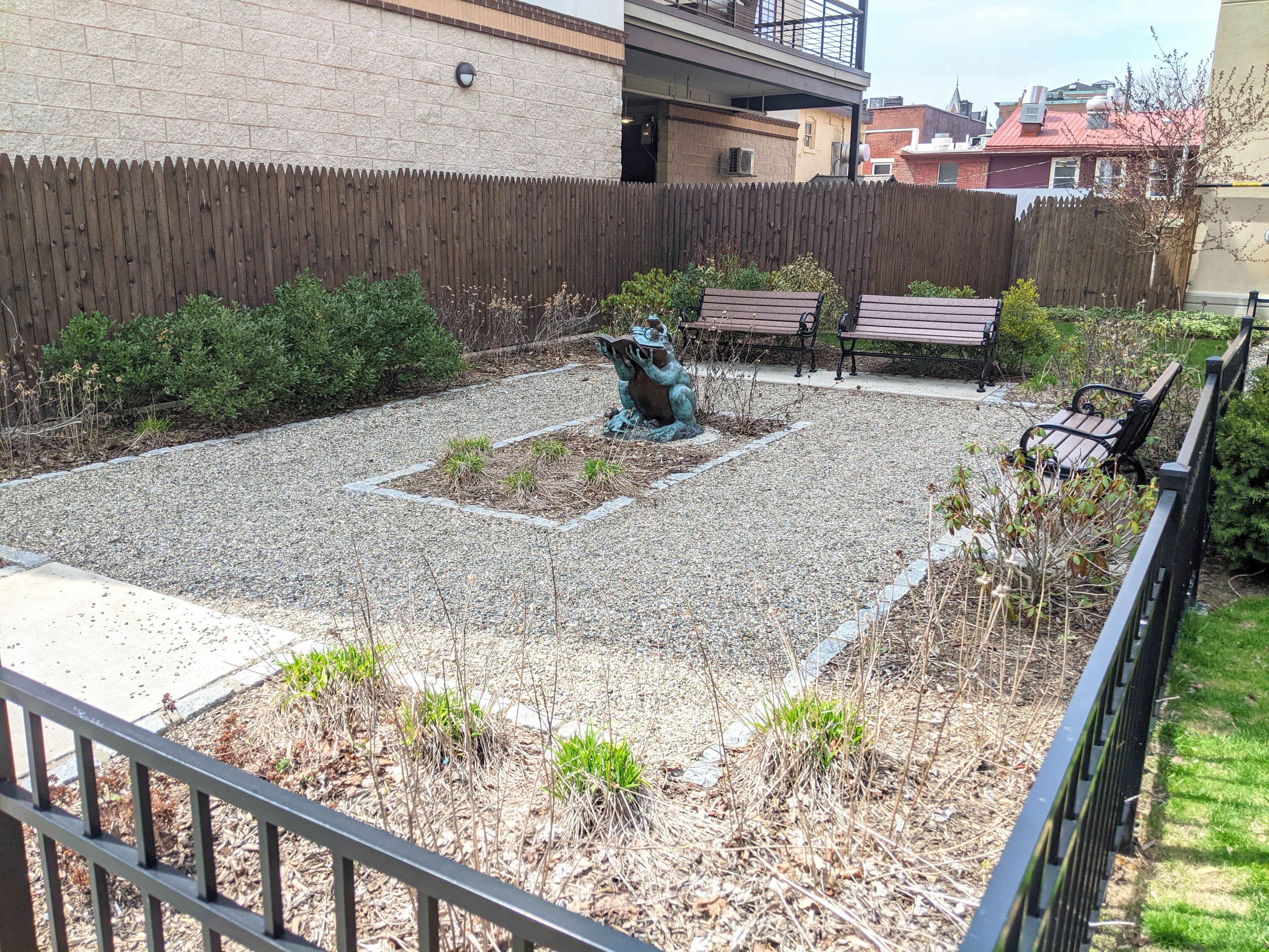 A bronze statue of a frog with glasses reading a book in the center of a crushed stone, square pathway. Three benches and shrubbery line the outer perimeter, and a fence surrounds it all.
