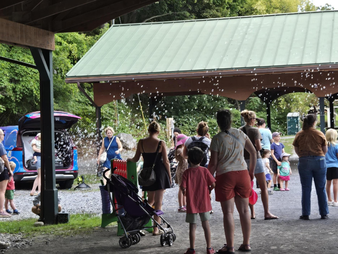 families dance in a park with music playing and bubble machines blowing