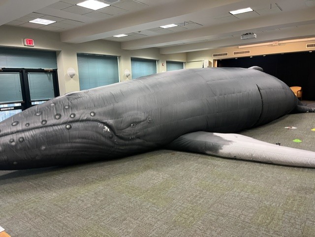 inflated whale located in the library community room