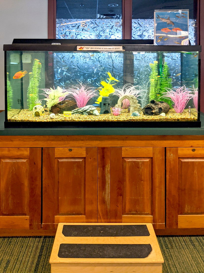 A wooden step in front of a cabinet holding a very large, lit up fish tank.