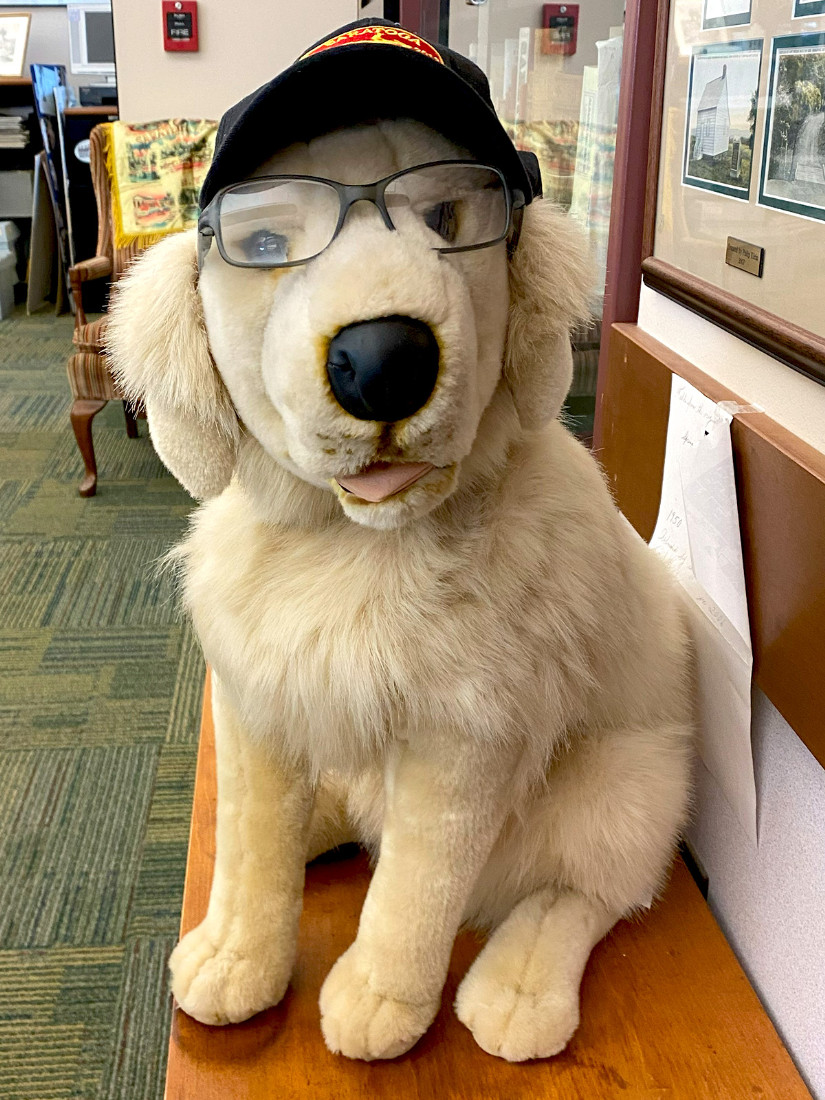 Stuffed animal of a golden retriever wearing a naval baseball cap and black framed glasses, sitting on a bench.