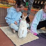 Thumbnail: small child with brown hair and a blue sweatshirt next to another child in a tie-dyed sweatshirt.  White and tan bunny in front of girl with blue sweatshi