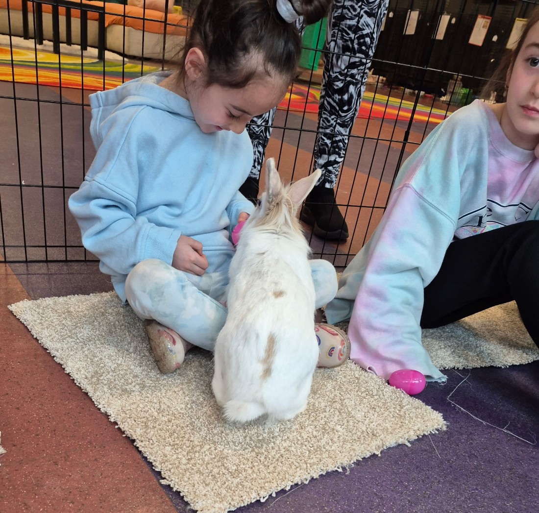 small child with brown hair and a blue sweatshirt next to another child in a tie-dyed sweatshirt.  White and tan bunny in front of girl with blue sweatshi